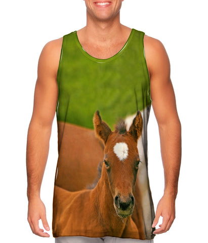 Humble Horse