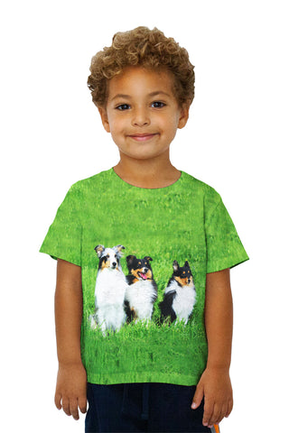Kids Three Shelties At Attention