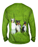 Three Shelties At Attention