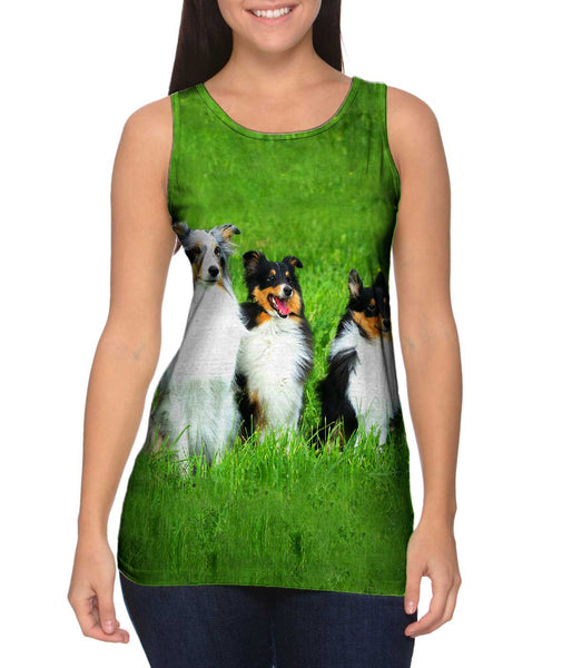 Three Shelties At Attention&nbsp;Womens Tank Top