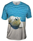 Warm Water Polar Bear