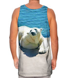 Warm Water Polar Bear