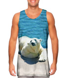 Warm Water Polar Bear