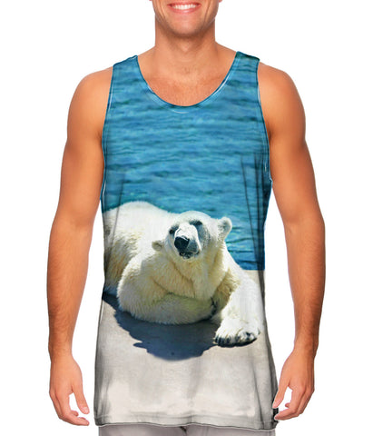 Warm Water Polar Bear