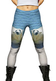 Warm Water Polar Bear