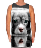 Monochrome Cocker Spaniel