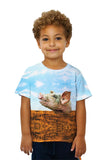 Kids Dirty Pig Sty