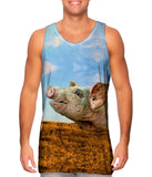 Dirty Pig Sty
