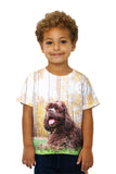 Kids Cockerspaniel In Woods