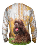 Cockerspaniel In Woods