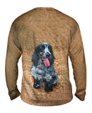 Salt And Pepper Cocker Spaniel
