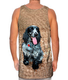 Salt And Pepper Cocker Spaniel