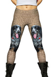 Salt And Pepper Cocker Spaniel