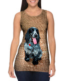 Salt And Pepper Cocker Spaniel