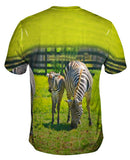 Zebra Cousins
