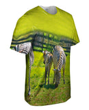 Zebra Cousins
