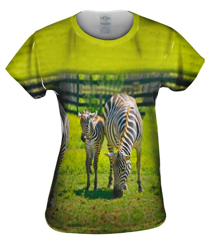 Zebra Cousins