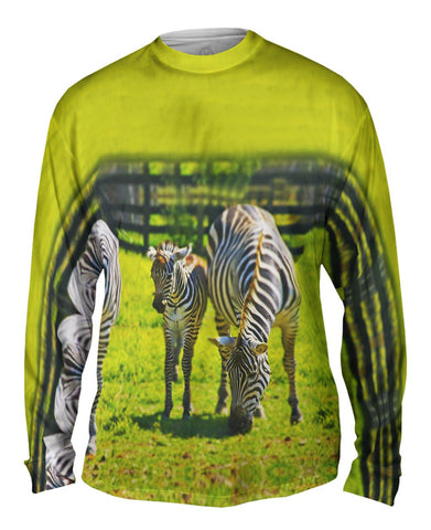 Zebra Cousins