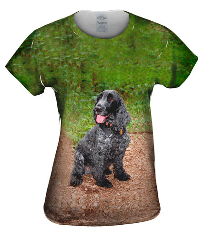 Precious Cocker Spaniel