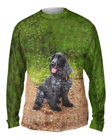 Precious Cocker Spaniel