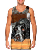 Quizzical Cocker Spaniel