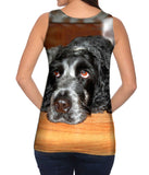 Quizzical Cocker Spaniel