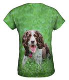 Outgoing Cocker Spaniel In Garden