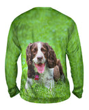 Outgoing Cocker Spaniel In Garden