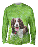 Outgoing Cocker Spaniel In Garden