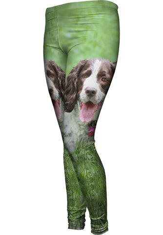 Outgoing Cocker Spaniel In Garden