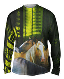 Horse Herd
