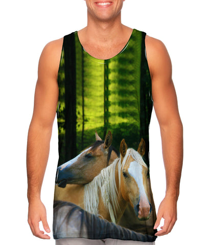 Horse Herd