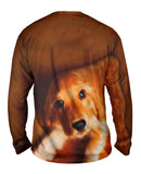 Kindly Golden Cocker Spaniel