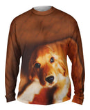 Kindly Golden Cocker Spaniel
