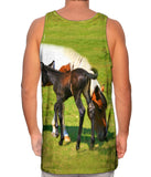 Baby And Mama Horse