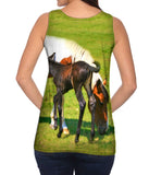 Baby And Mama Horse