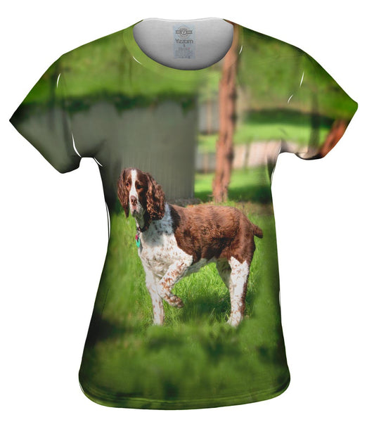 Cocker Spaniel Pointing Womens Top