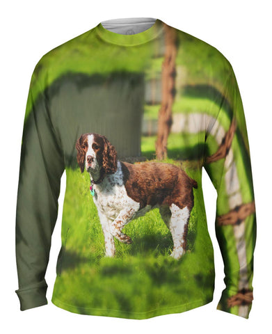 Cocker Spaniel Pointing