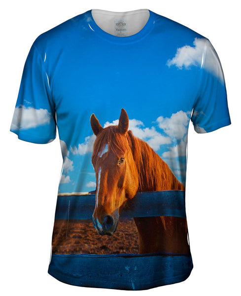 Fearless Stable Horse Mens T-Shirt