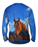 Fearless Stable Horse