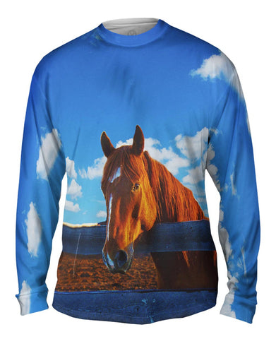 Fearless Stable Horse