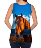 Fearless Stable Horse