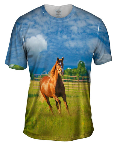 Running Golden Horse