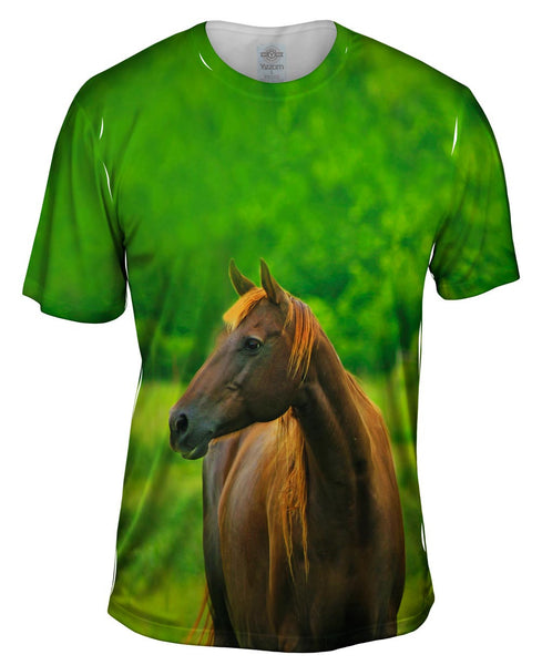 Decisive Horse&nbsp;Mens T-Shirt