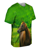 Decisive Horse