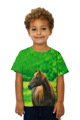 Kids Decisive Horse