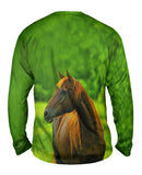 Decisive Horse