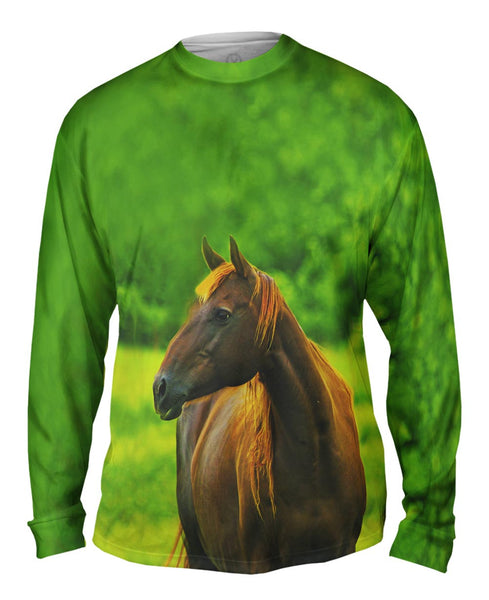Decisive Horse&nbsp;Mens Long Sleeve