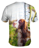 Scruffy Haired Cocker Spaniel