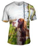 Scruffy Haired Cocker Spaniel